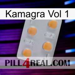 Kamagra Vol 1 24